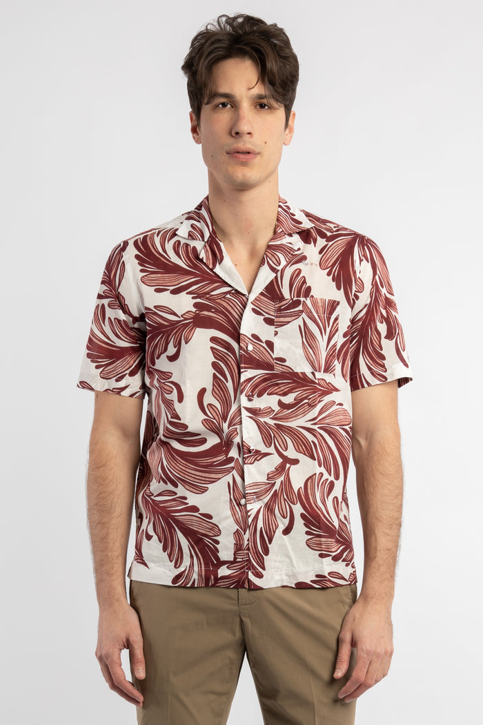Hawaii camicia-1