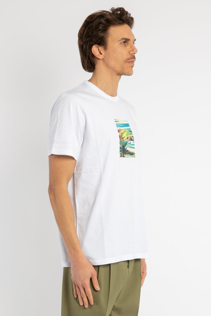 T-shirt in puro cotone con stampa sul petto-4