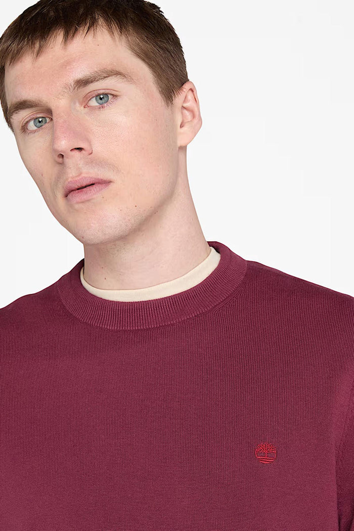 Maglione in Cotone Williams River da Uomo in bordeaux-3