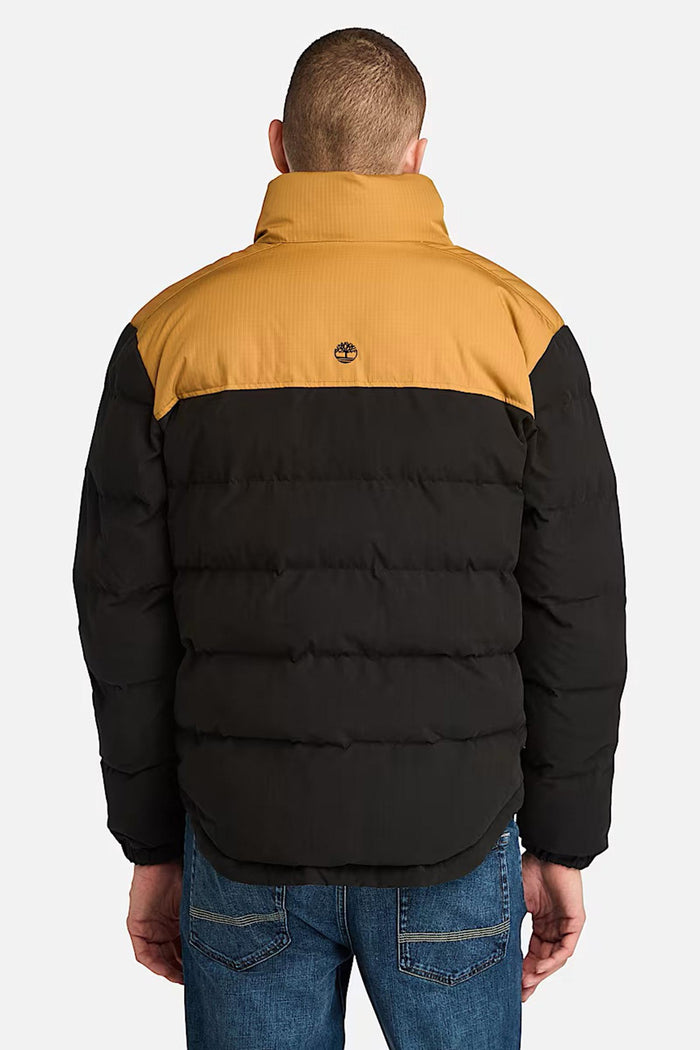 Piumino Idrorepellente Mountain Welch da Uomo in giallo/colore nero-5
