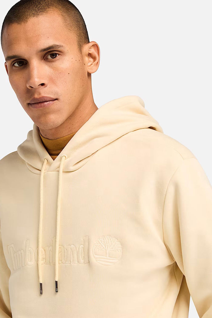 Felpa con Cappuccio Hampton da Uomo in beige-3