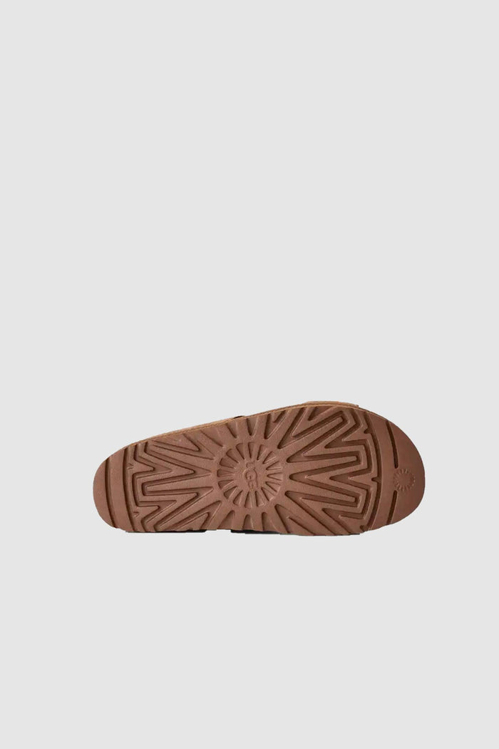 Donna Ciabatte Goldenstar Hi Cutout-5