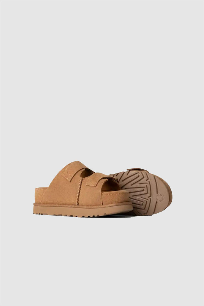 Donna Ciabatte Goldenstar Hi-2