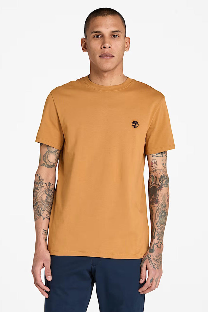 T-shirt a Maniche Corte Dunstan River da Uomo in giallo-2