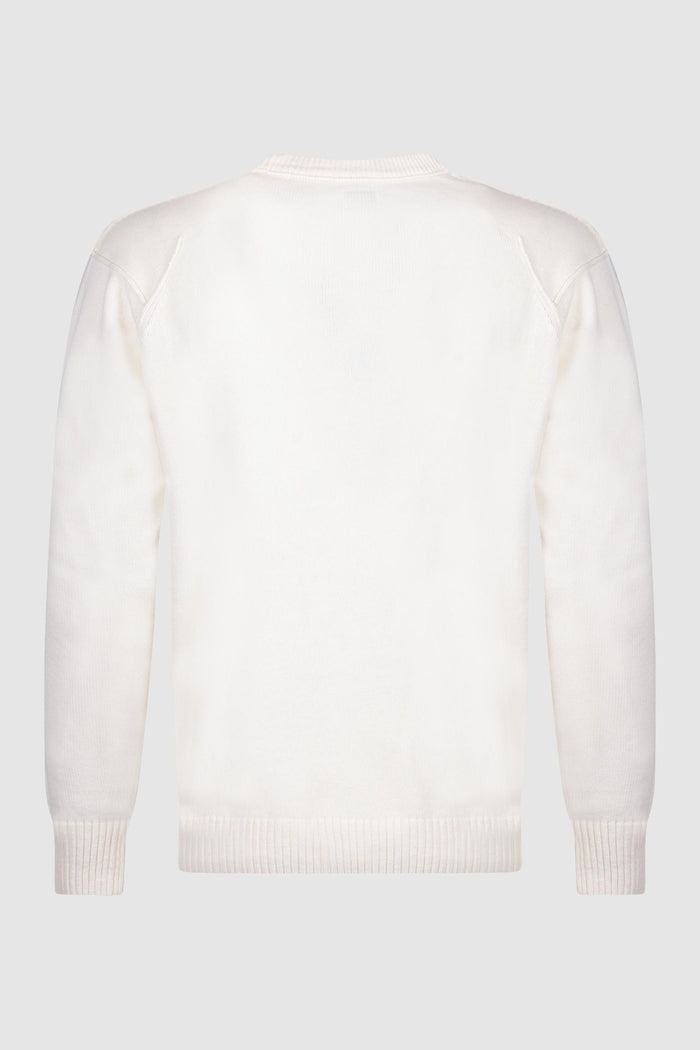 Maglione girocollo in cotone con dettaglio lente-2