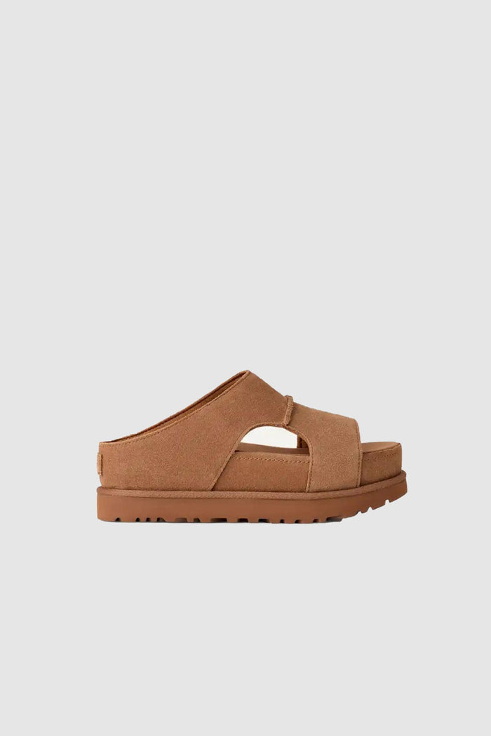 Donna Ciabatte Goldenstar Hi Cutout