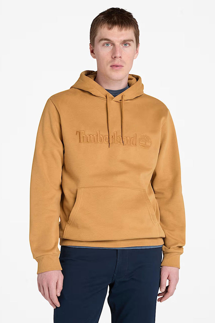 Felpa con Cappuccio Hampton da Uomo in giallo-4