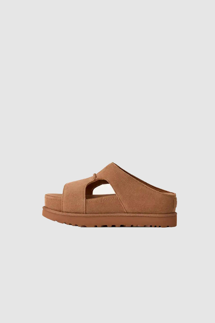 Donna Ciabatte Goldenstar Hi Cutout-2