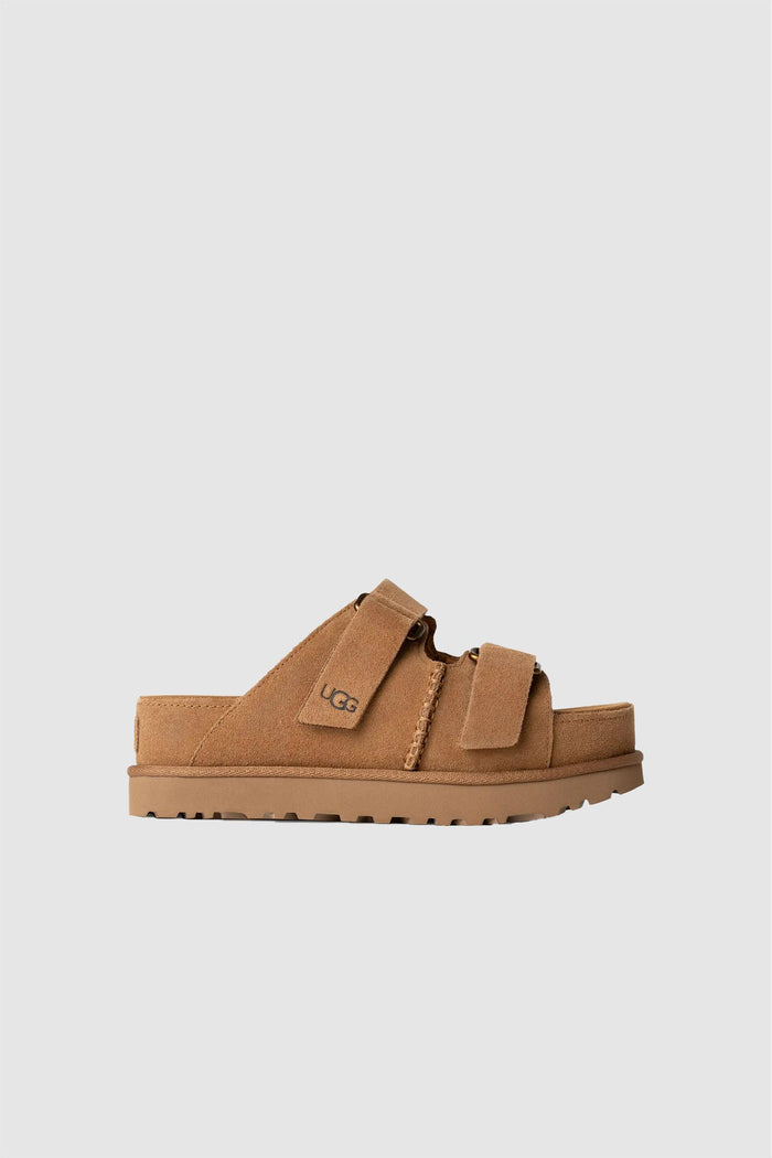 Donna Ciabatte Goldenstar Hi-1