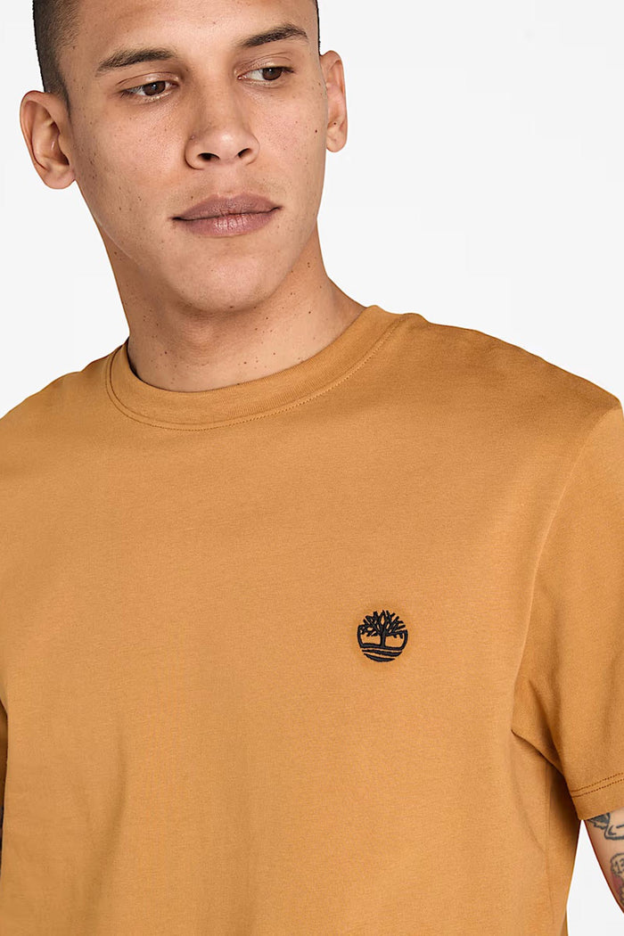 T-shirt a Maniche Corte Dunstan River da Uomo in giallo-4